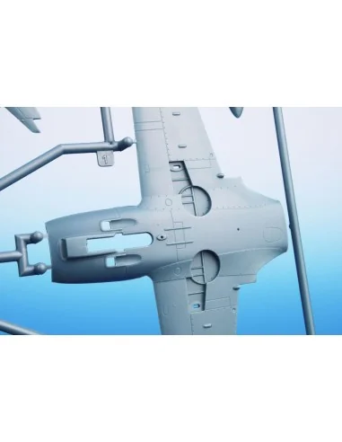 SIAI-Marchetti SF-260EA/D/EU ‘ Late Bulged Canopy Type’, 1/48 - Spe...
