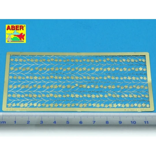 Ivy - Aber Models 35D-01