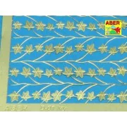 Ivy - Aber Models 35D-01