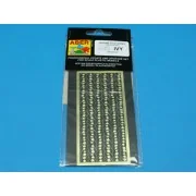 Ivy - Aber Models 35D-01