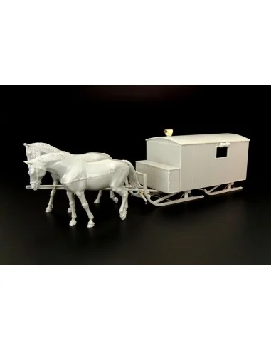 HS-3-1 Krankenschlittens, 1/35 - Hauler HLM35002