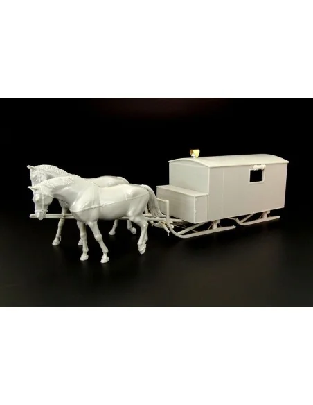 HS-3-1 Krankenschlittens, 1/35 - Hauler HLM35002