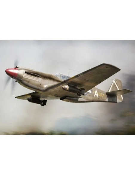 [NO_DESC] A-36 Apache USAF, 1/72 - Brengun BRP72025