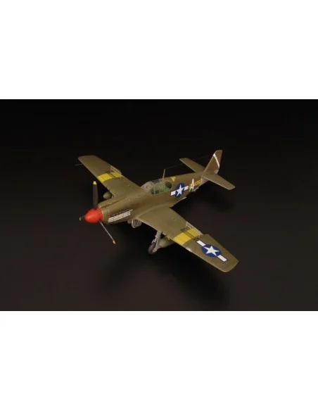 [NO_DESC] A-36 Apache USAF, 1/72 - Brengun BRP72025