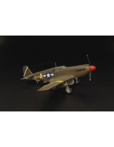 [NO_DESC] A-36 Apache USAF, 1/72 - Brengun BRP72025