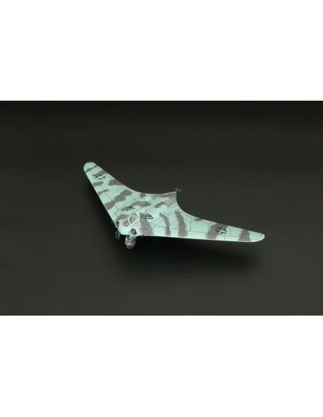 Ho-229 Night Fighter, 1/144 - Brengun BRP144010