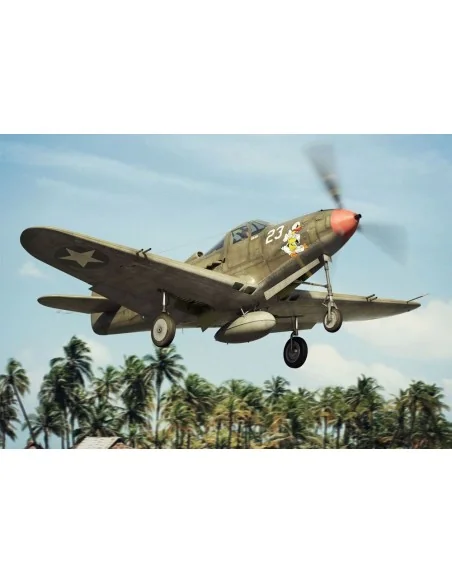 [NO_DESC] P-39 D-F-K Airacobra, 1/144 - Brengun BRP144011