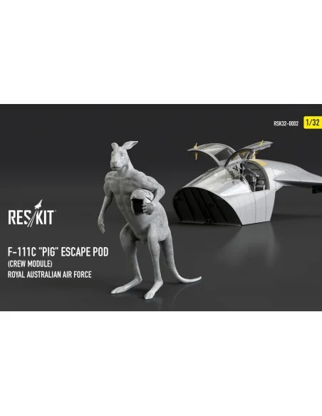 [NO_DESC] F-111? Pig Escape Pod (Crew Module) Royal Australian Air ...