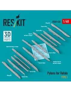 Pylons for Rafale type 1 (3D Printed), 1/48 - ResKit Models RS48-0436
