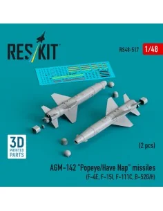 AGM-142 Popeye/Have Nap missiles (2 pcs) (F-4E, F-15I, F-111C, B-52...