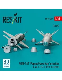 AGM-142 Popeye/Have Nap missiles (2 pcs) (F-4E, F-15I, F-111C, B-52... 2
