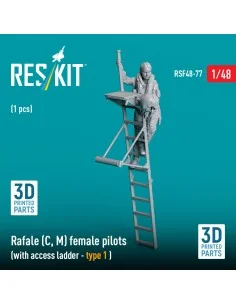Rafale (C, M) female pilot (with access ladder - type 1) (1 pcs) (3...