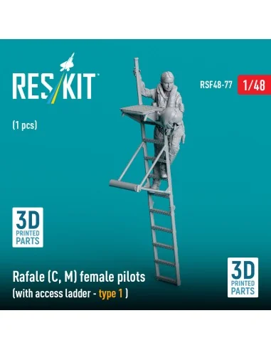 Rafale (C, M) female pilot (with access ladder - type 1) (1 pcs) (3...
