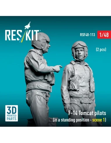 F-14 Tomcat pilots (in a standing position - scene 1) (2 pcs) (3D P...