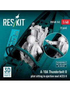 A-10A Thunderbolt II pilot sitting in ejection seat ACES II (1 pcs)...