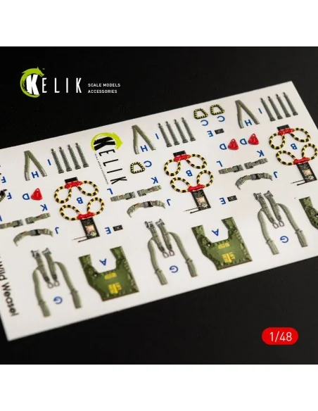 F-4G interior 3D decals for Meng kit, 1/48 - Kelik K48056