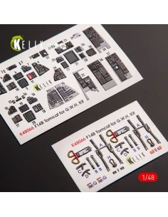 F-14B Tomcat interior 3D decals for GWH kit, 1/48 - Kelik K48066