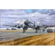 Focke-Wulf F200V3/A-09 Condor Immelman III, 1/144 - Roden 343