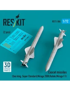 Exocet missiles (2 pcs) (Sea King, Super Etendard, Mirage 2000, Raf...
