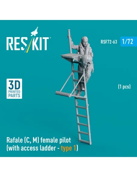 Rafale (C, M) female pilot (with access ladder - type 1) (1 pcs) (3...