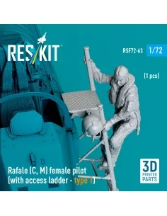 Rafale (C, M) female pilot (with access ladder - type 1) (1 pcs) (3... 2