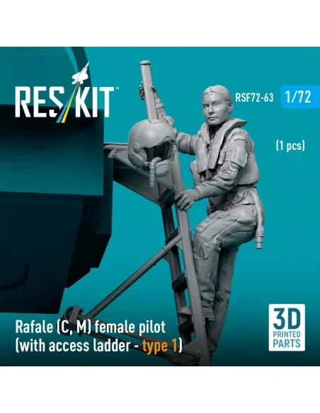 Rafale (C, M) female pilot (with access ladder - type 1) (1 pcs) (3...