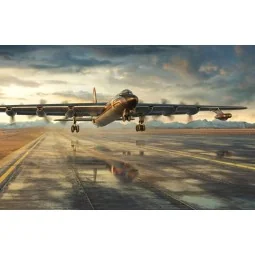 Convair NB-36H Crusader, 1/144 - Roden 348