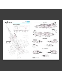 MiG-25 Foxbat Stencils Decals, 1/72 - ResKit Models RSB72-0003 2