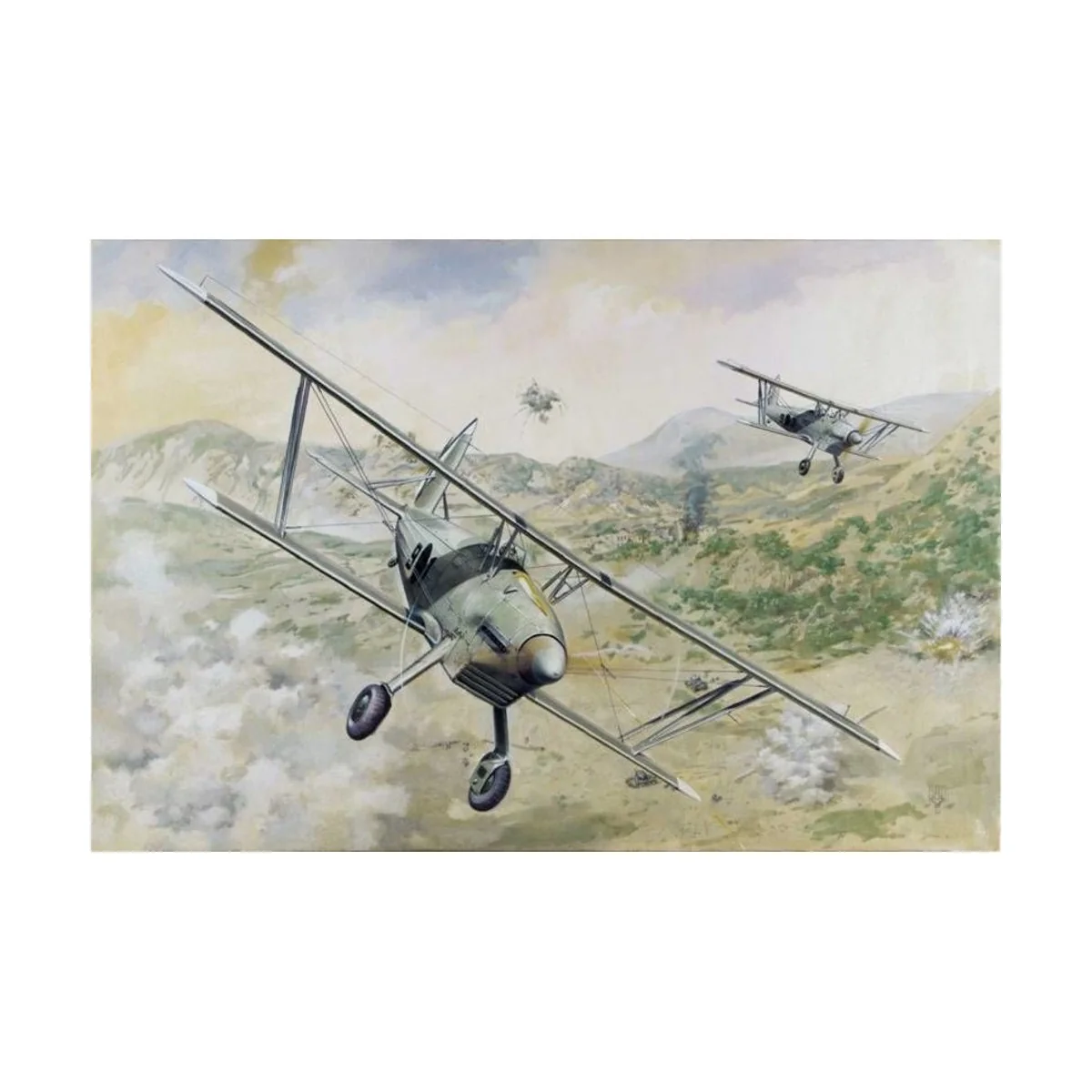 Arado Ar 68E, 1/48 - Roden 427