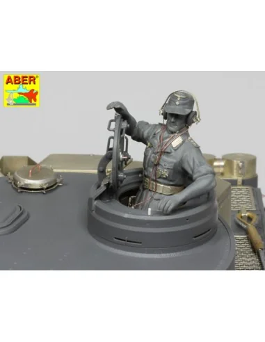 Pz.Kpfw.VIAusf.E(Sd.Kfz.181)Tiger I-s.PzAbt.501 in Tunisia, 1/16 - ...