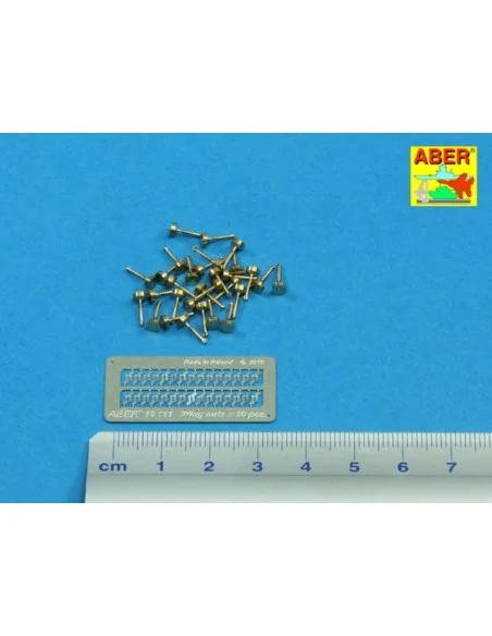 Wing nuts PE nuts with turned bolt x 30 pcs., 1/16 - Aber Models 16111
