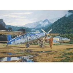 Pilatus PC-6C/H-2 Turbo-Porter, 1/48 - Roden 440