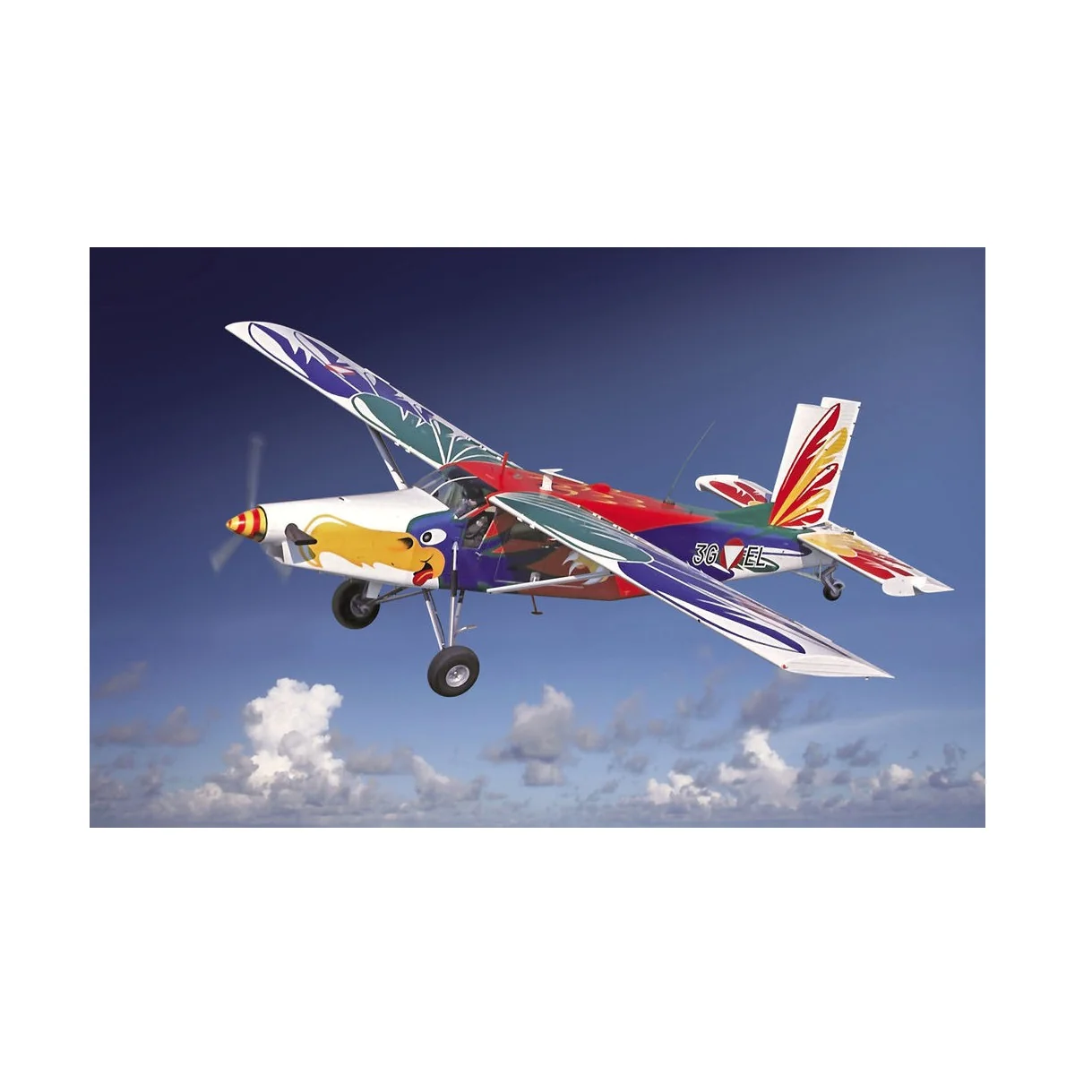 Pilatus PC-6/B1-H2 Turbo-Porter - Roden 444