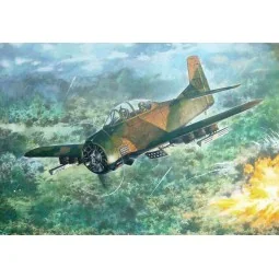 North American T-28D Trojan, 1/48 - Roden 450