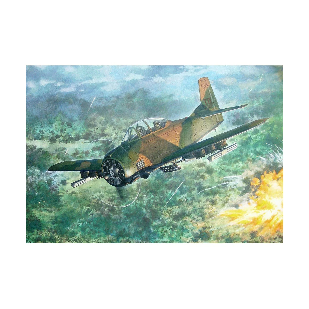 North American T-28D Trojan, 1/48 - Roden 450