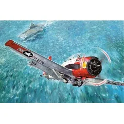 North American T-28C Trojan, 1/48 - Roden 451