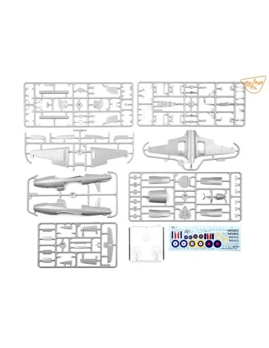 Gloster E28/39 Pioneer, 1/48 - Clear Prop Models CP4823