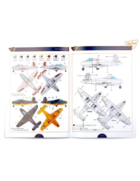 Gloster E28/39 Pioneer, 1/48 - Clear Prop Models CP4823