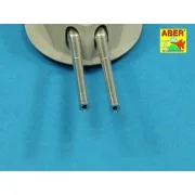 Armament for Mikasa - Aber Models RE-200 L07