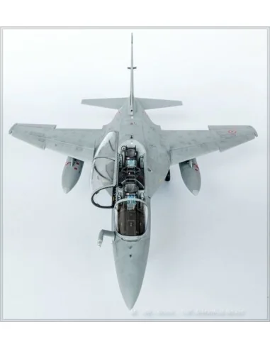 [NO_DESC] Alenia M346, 1/48 - KINETIC K48063