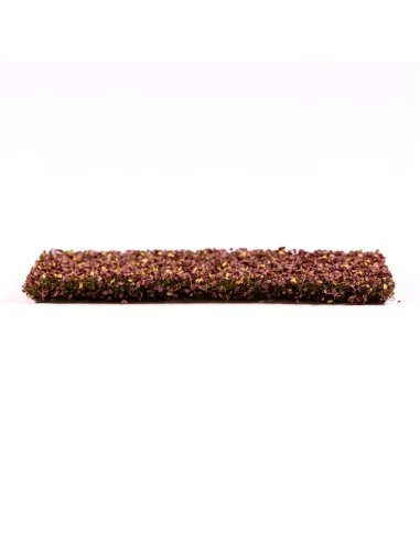 Beech Foliage Autumn - AK Interactive AK8141