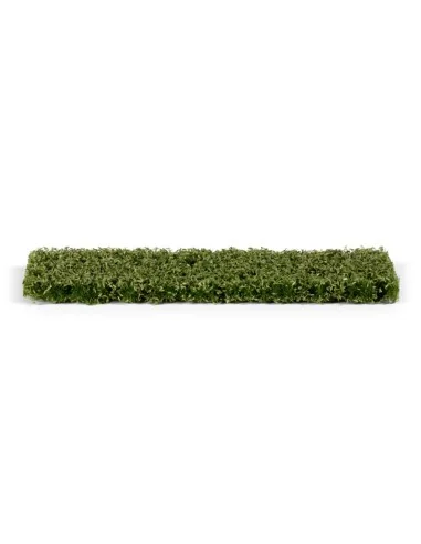 Leaves and Shrubberry Foliage (Elongated) - AK Interactive AK8144