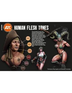 [NO_DESC] HUMAN FLESH TONES - AK Interactive AK11603 2