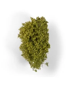 [NO_DESC] SPRING FILIGREE BUSHES - AK Interactive AK8236 2