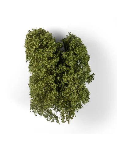 SUMMER FILIGREE BUSHES - AK Interactive AK8237