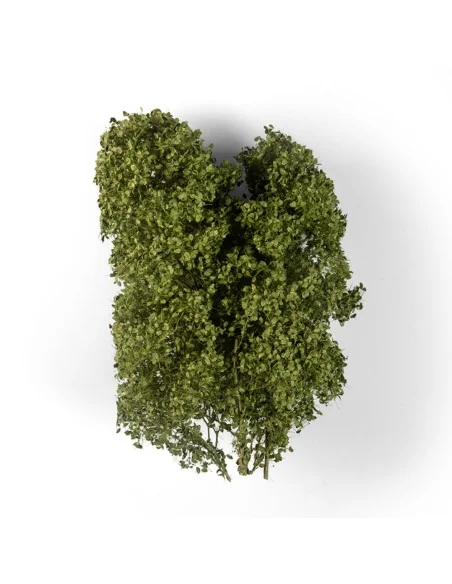SUMMER FILIGREE BUSHES - AK Interactive AK8237