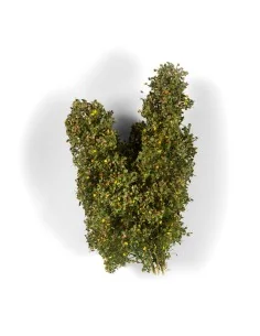 [NO_DESC] EARLY FALL FILIGREE BUSHES - AK Interactive AK8238 2