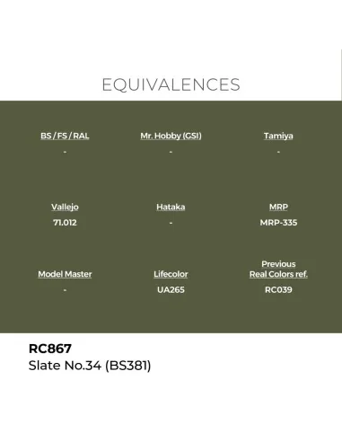 Real Colors: Slate No.34 (BS381) 17 ml. - AK Interactive RC867