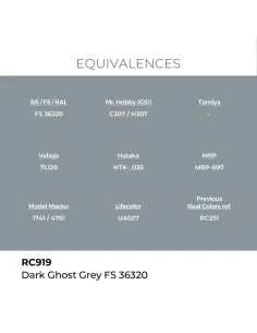 Real Colors: Dark Ghost Grey FS 36320 17 ml. - AK Interactive RC919 2