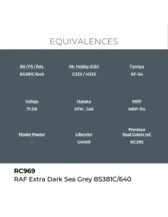 [NO_DESC] Real Colors: RAF Extra Dark Sea Grey BS381C/640 17 ml. - ... 2